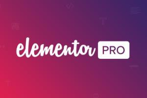 Elementor-Pro